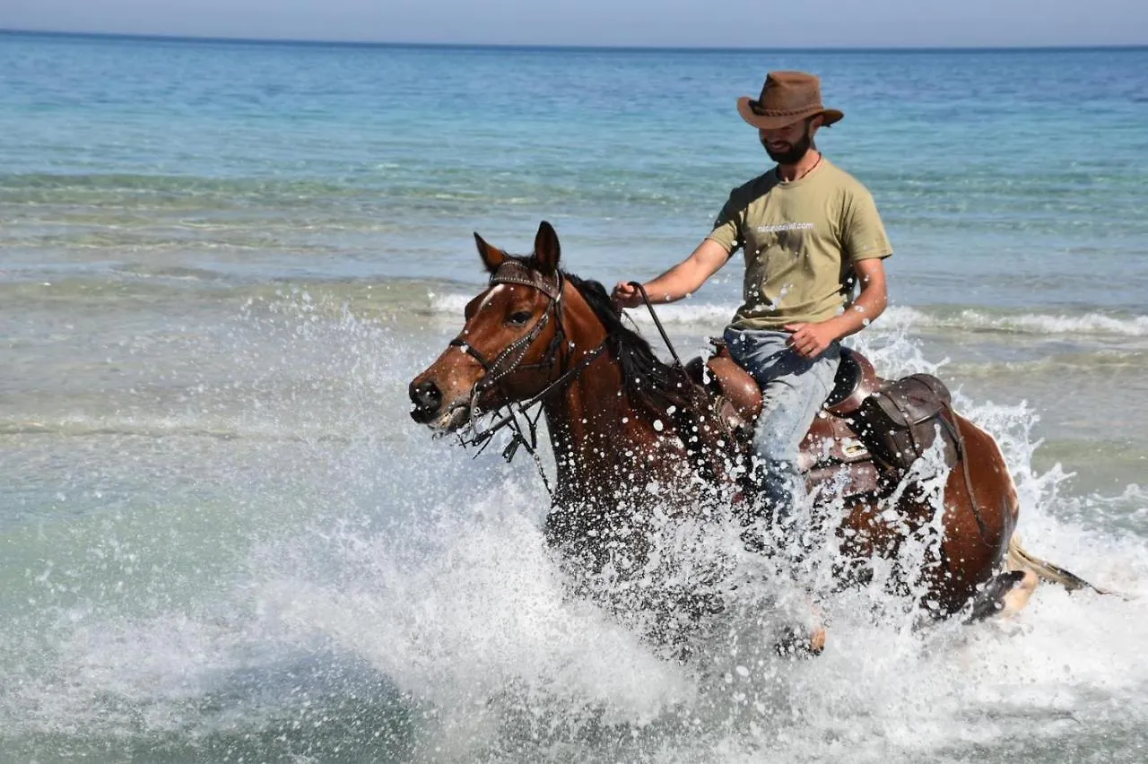 Farm stay Finca Sa Cova Vella Manacor