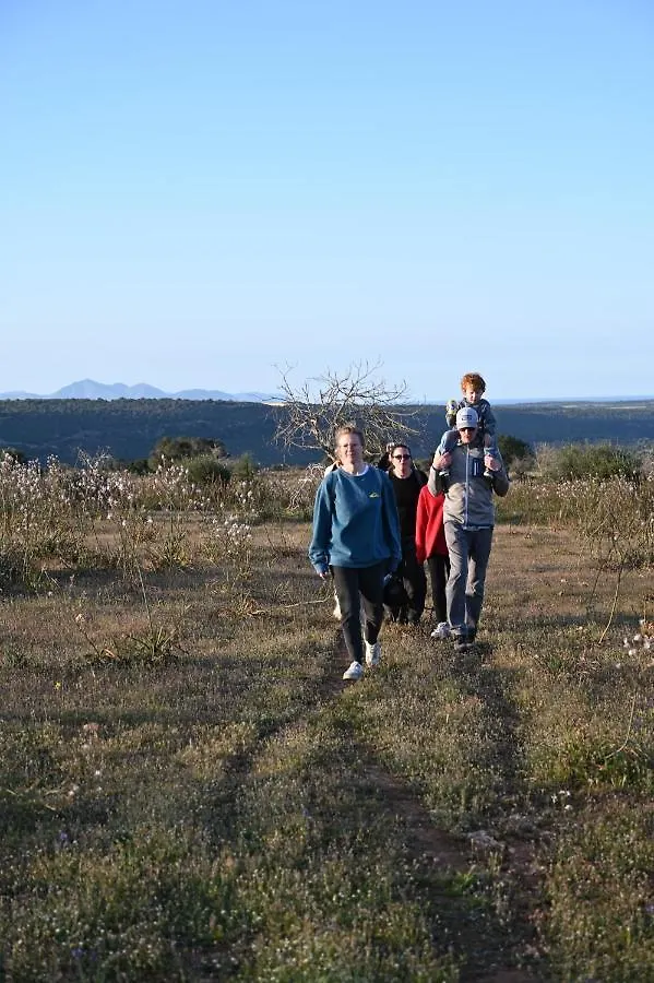 Finca Sa Cova Vella Manacor
