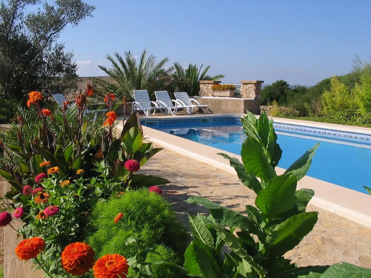 Farm stay Finca Sa Cova Vella Manacor  Spain