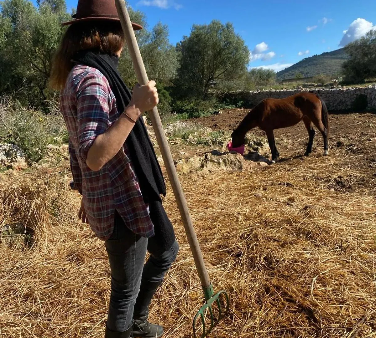 팜스테이 Finca Sa Cova Vella 마나코르
